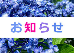 AZUMA新着情報